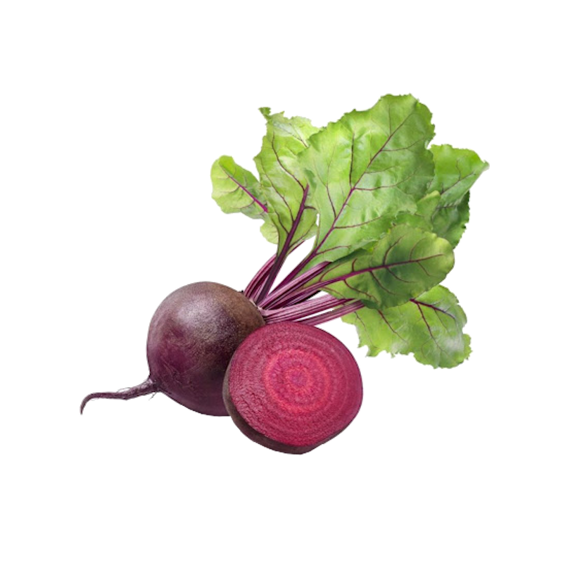 Буряк столовий